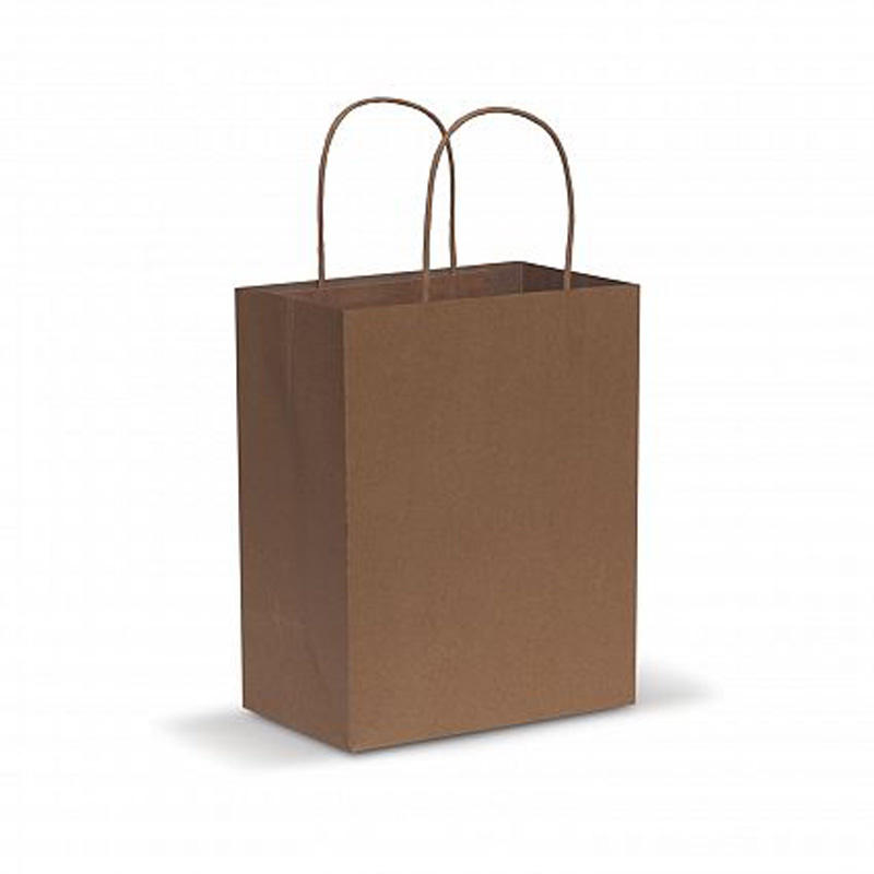 Download Paper Carry Bag - Medium - Promotional Bags