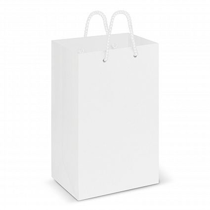 Download Laminated Carry Bag - Small - Promotional Bags