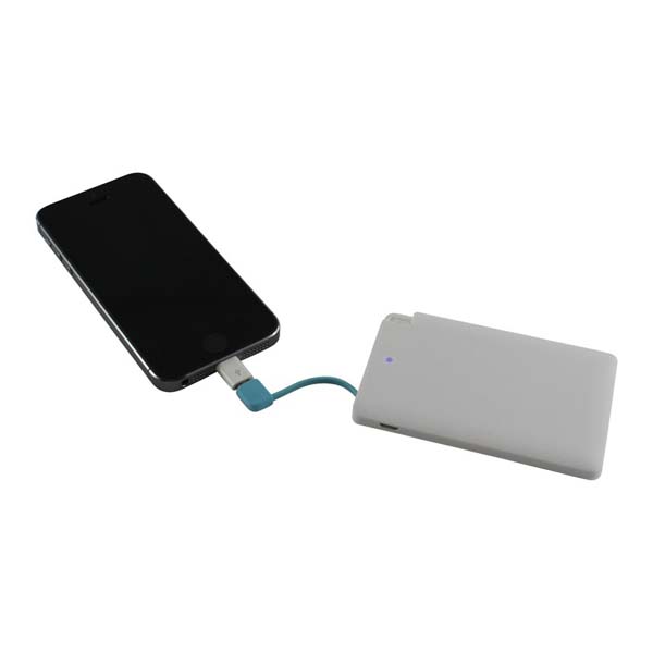 Fullsome Power Bank image1