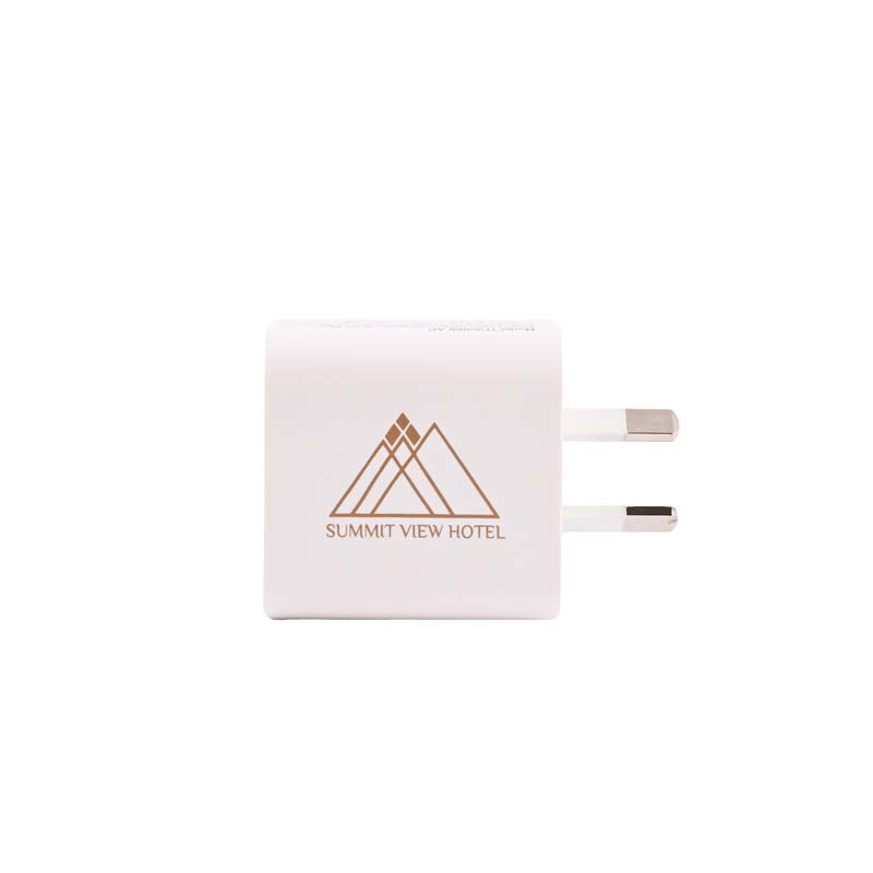 Paramount Wall Charger image4