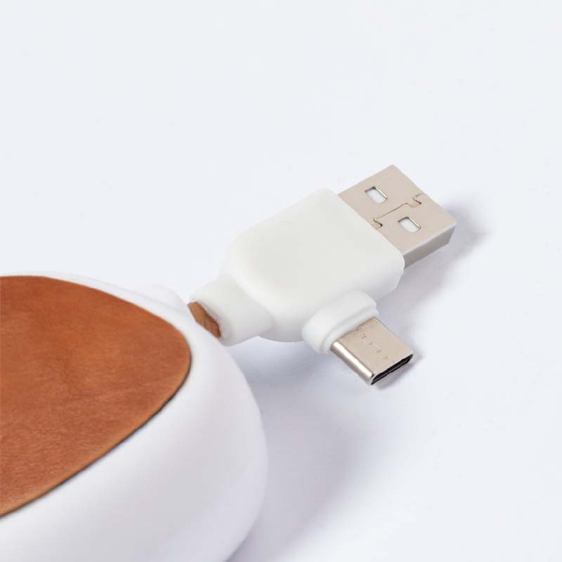 Leather Charging Cable image5