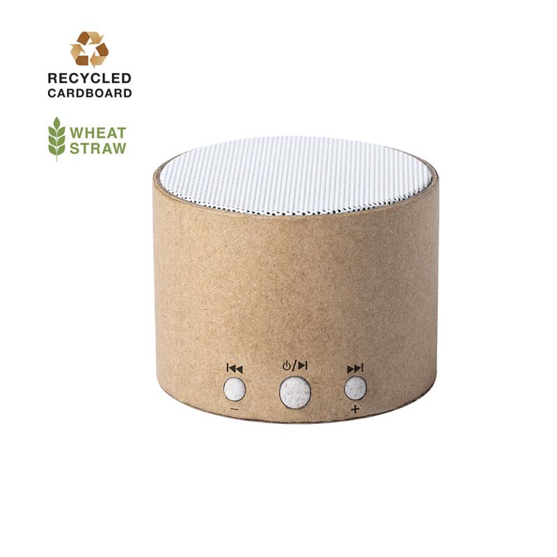 Cardboard Speaker