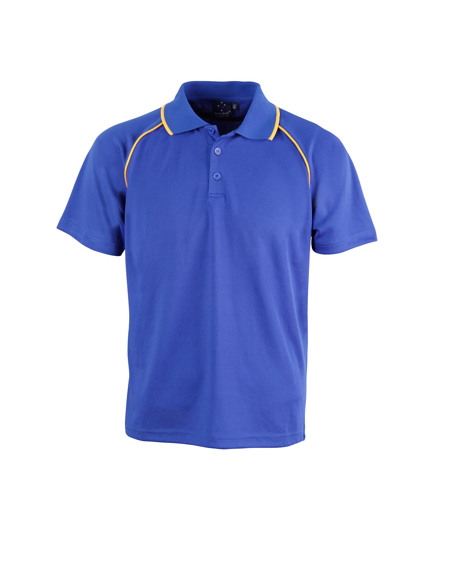 Champion Polo image8