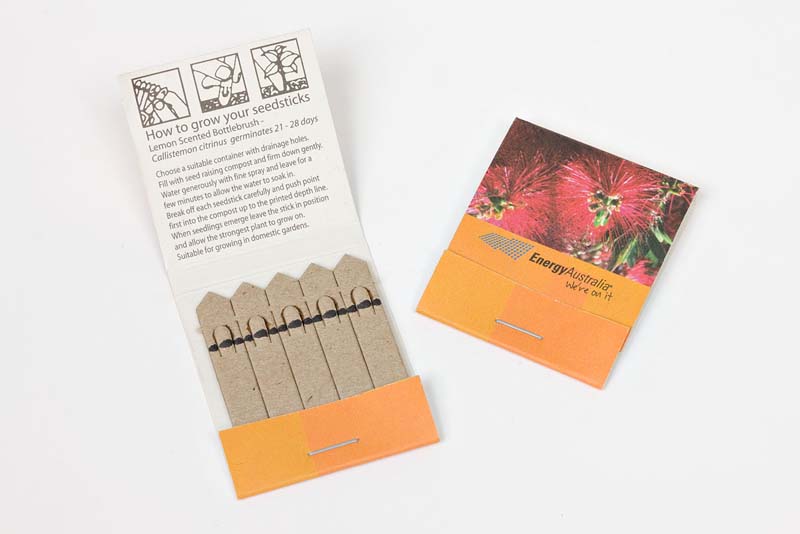 Herbs 5 Stick Pack