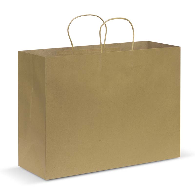 Paper Carry Bag - Extra Large image3