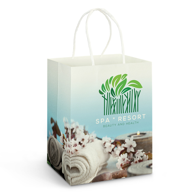 Large Paper Carry Bag – Full Colour