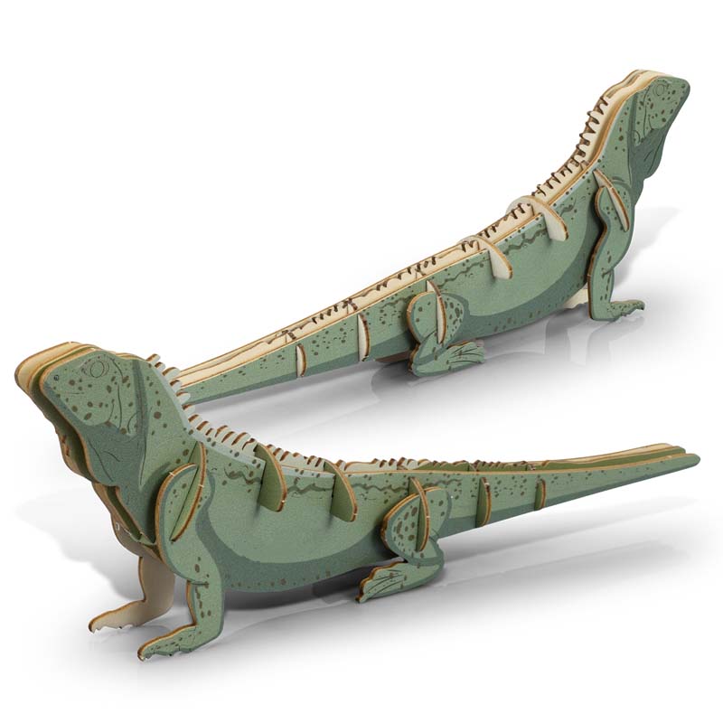 BRANDCRAFT Tuatara Wooden Model image4